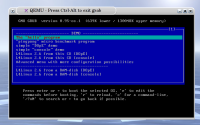 L4 running in QEmu
